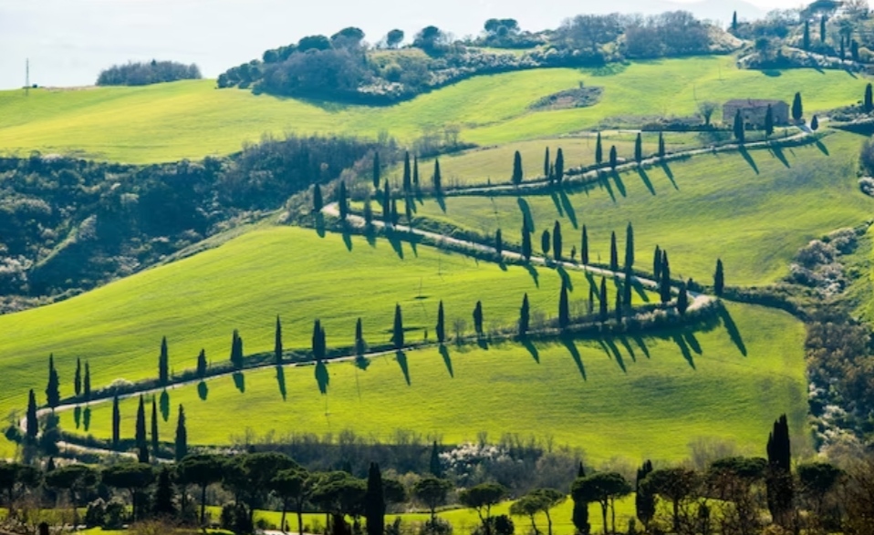 Sip Wine in the Vineyards of Tuscanythe travelaworld.jpg