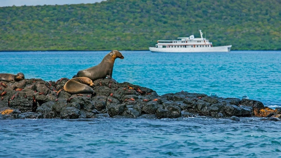 Factors to Consider in Choosing the Best Galapagos Tours, The Travel A World, thetravelaworld.com