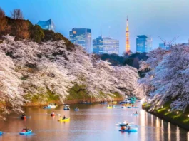 Popular Tourist Destinations in Japan, The Travel A World, thetravelaworld.com