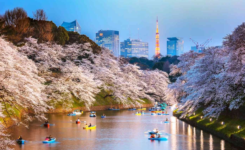 Popular Tourist Destinations in Japan, The Travel A World, thetravelaworld.com