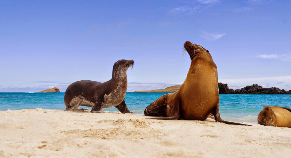 Top Galapagos Tours for Different Preferences and Budgets, The Travel A World, thetravelaworld.com